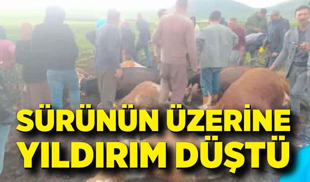 Sürünün üzerine yıldırım düştü: 2 çoban yaralandı, 10 hayvan telef oldu