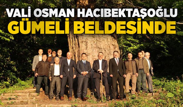 Vali Osman Hacıbektaşoğlu, Gümeli beldesinde