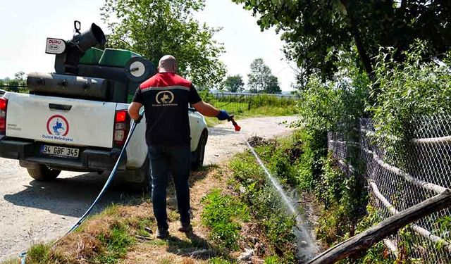 Düzce’de görülmeye başladı