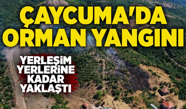 Çaycuma'da orman yangını: Yerleşim yerlerine kadar yaklaştı