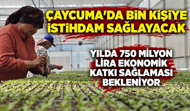 Çaycuma'da bin kişiye istihdam sağlayacak:  Yılda 750 milyon lira ekonomik katkı sağlaması bekleniyor