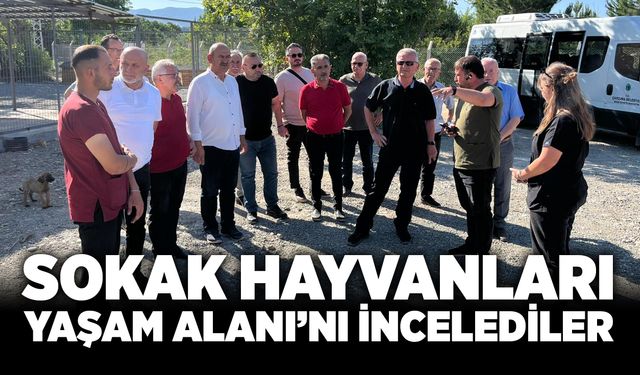Sokak Hayvanları Yaşam Alanı’nı incelediler