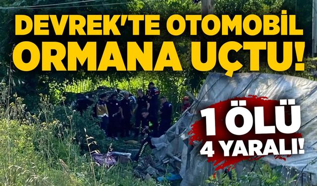 Devrek'te otomobil ormana uçtu: 1 ölü, 4 yaralı