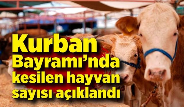 Kurban Bayramı’nda kesilen hayvan sayısı açıklandı