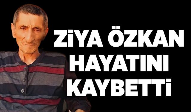 Ziya Özkan hayatını kaybetti