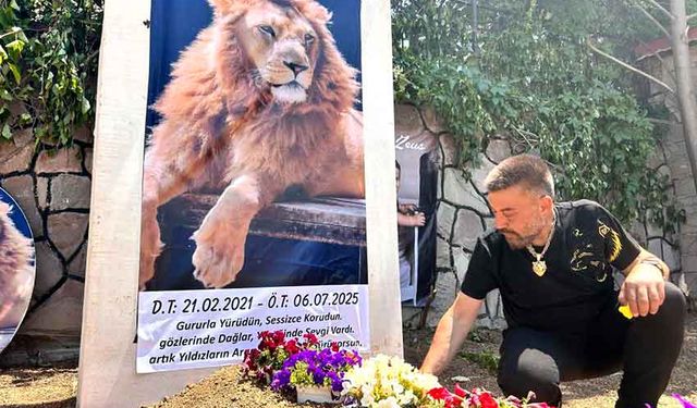Çiftçiyi yaraladıktan sonra öldürülen aslanın sahibi evinin önüne temsili mezar yaptırdı