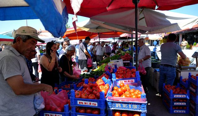 Erzincan domatesi çevre illerde sofraları süslüyor