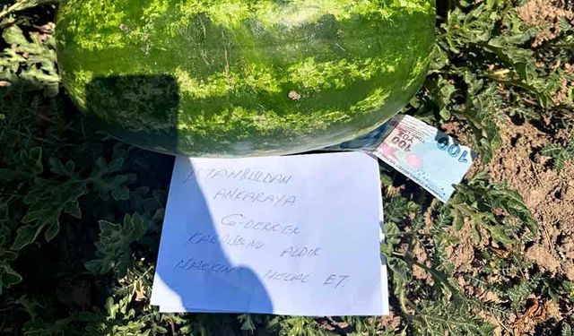 Karpuz üreticisi tarlasında gördüğü not karşısında duygulandı