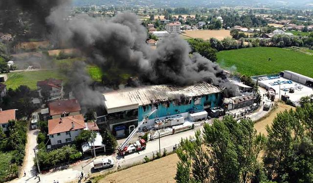 Korkutan yangın havadan görüntülendi
