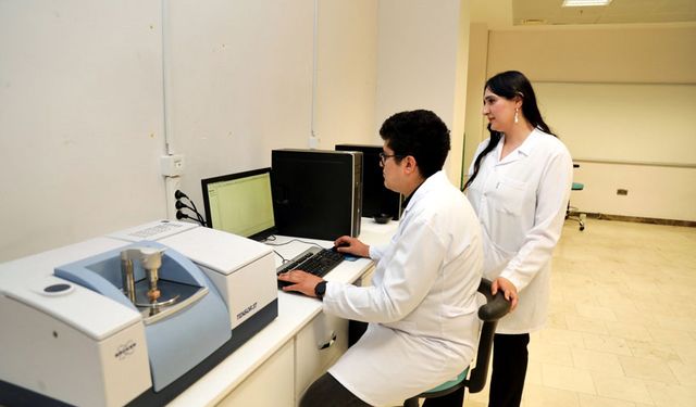 BTÜ’denyerli odun türlerini mobilya ve yapı sektörüne kazandıracak proje