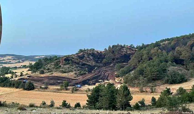 Bolu’daki orman yangını kontrol altına alındı