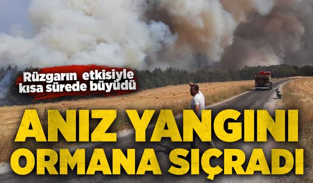 Anız yangını ormana sıçradı: Rüzgarın etkisiyle kısa sürede büyüdü