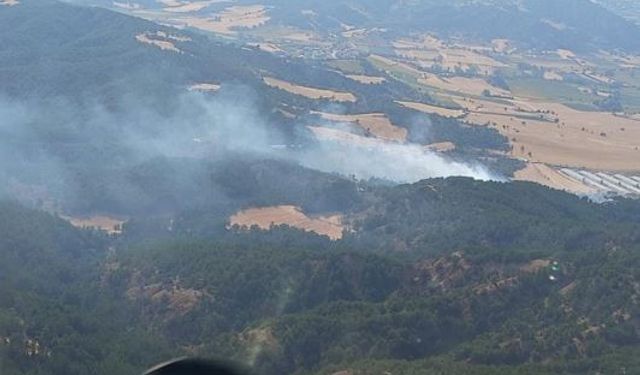 Bolu Kızılkuyu köyü yakınında orman yangını başladı