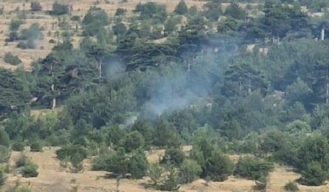 Bolu’da yıldırım kaynaklı çıkan yangınlar söndürüldü