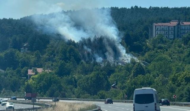 Bolu’da çıkan orman yangını büyümeden söndürüldü