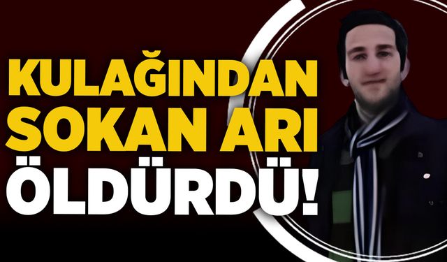 Kulağından sokan arı öldürdü!