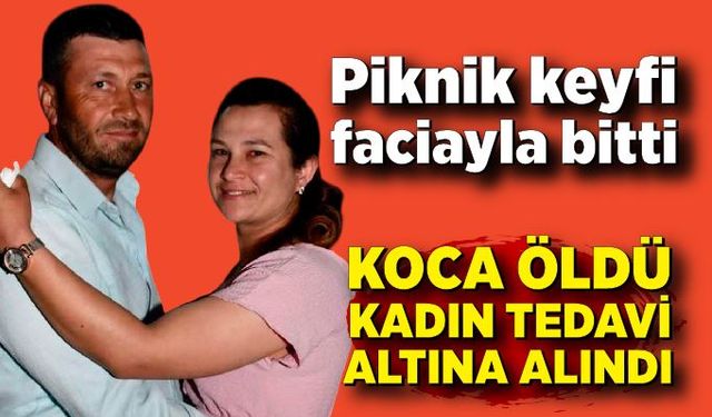Çiftin piknik keyfi faciayla bitti