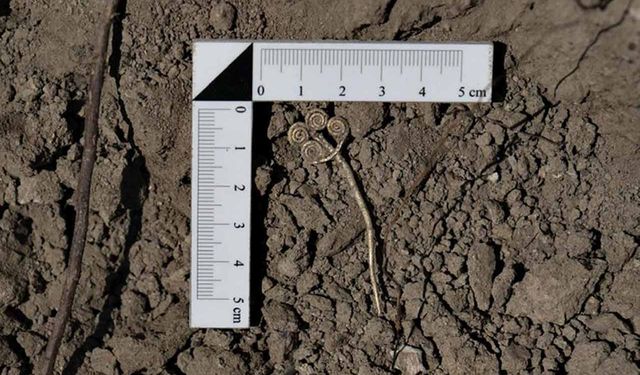 Troya'da 4 bin 500 yıllık altın broş ve ender yeşim taşı gün ışığına çıkarıldı