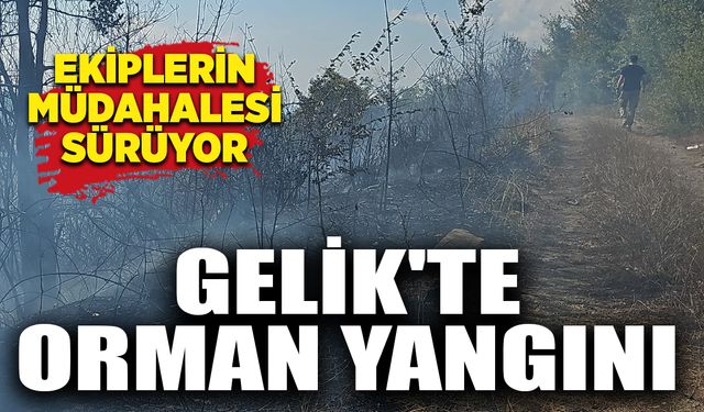Gelik'te orman yangını: Ekiplerin müdahalesi sürüyor