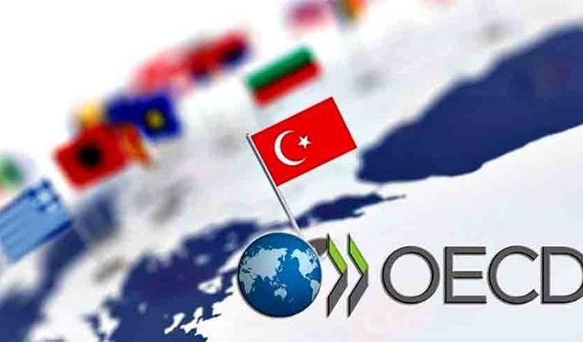 Türkiye’nin eğitimde yükselişi OECD raporuna yansıdı
