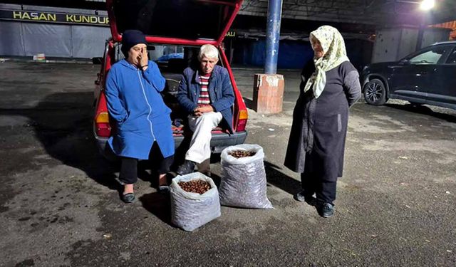 Kestane El Yakıyor: Kilosu 500 TL’ye Dayandı!