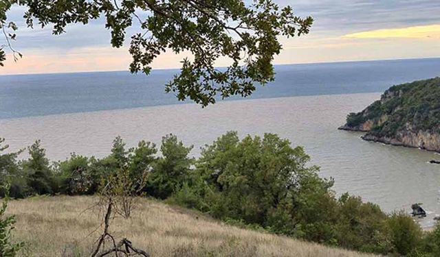 Bartın’da Karadeniz Turuncuya Döndü, Sahile Tıbbi Atıklar Vurdu