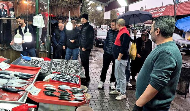 Karadeniz'de hamsi bollaştı, Bartın'da kilosu 50TL'ye düştü