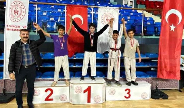 29 Ekim Cumhuriyet Kupası Taekwondo turnuvası gerçekleştirildi