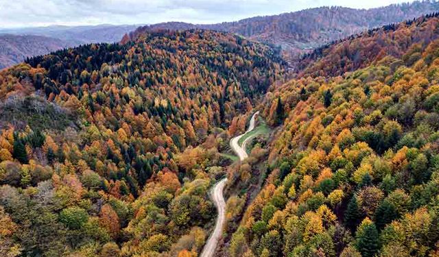 Renk cümbüşü havadan görüntülendi