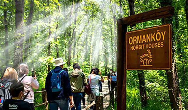 Ormanya ve Kuzuyayla’yı 2 milyon 280 bin kişi ziyaret etti