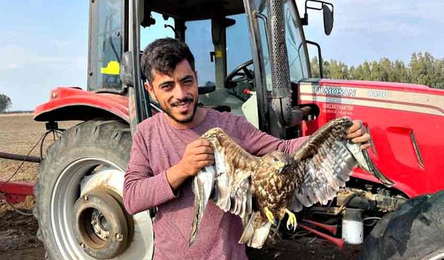 Hasadı bıraktı şahinin yardımına koştu