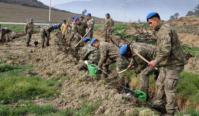 Bolu'da komandolar yeşil vatanda geleceğe nefes oldu
