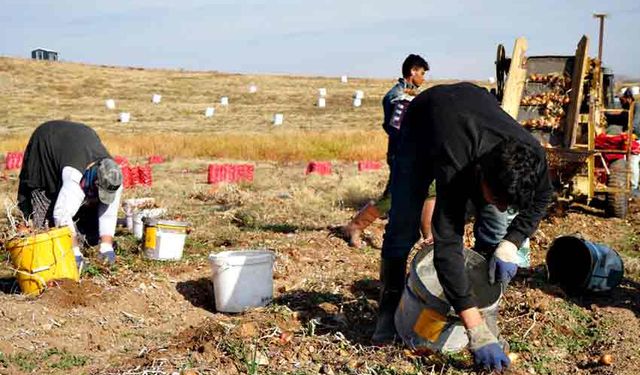 Kuraklık riski büyüyor, çiftçiden uyarı