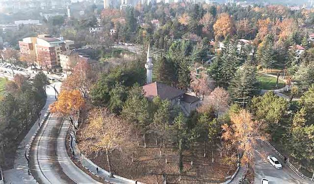Tarihi Yenişehir Camii restorasyona alındı