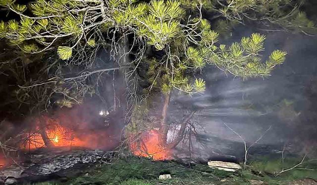 Orman yangını korkuttu: Köylüler ve ekipler hızla müdahale etti