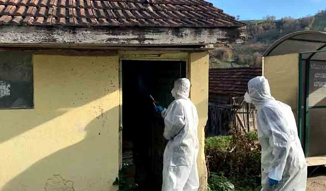 Kahverengi Kokarca ile kışlak mücadelesi sürüyor