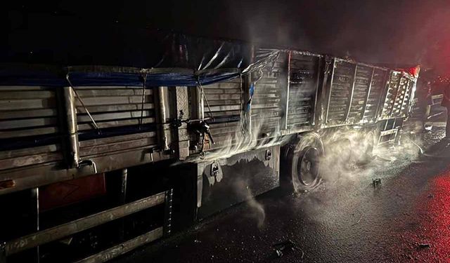 Osmaniye'de mısır yüklü tır alev alev yandı