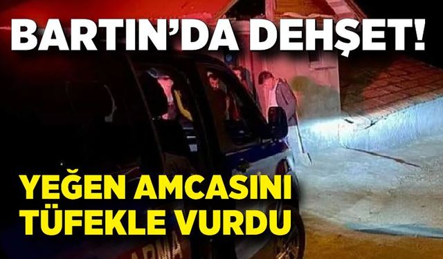 Yeğen amcasını tüfekle vurdu