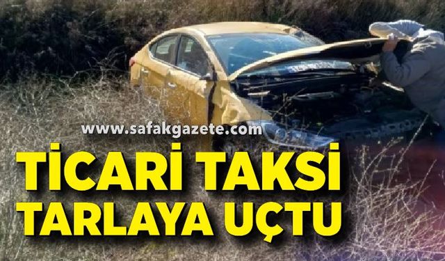 Ticari taksi tarlaya uçtu
