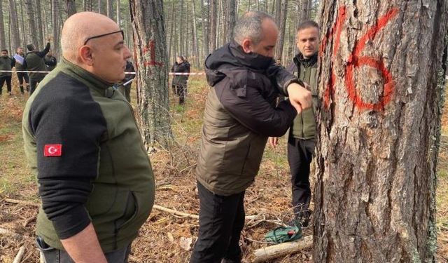 Bolu’da sağlıklı ormanlar için ekipler sahaya indi