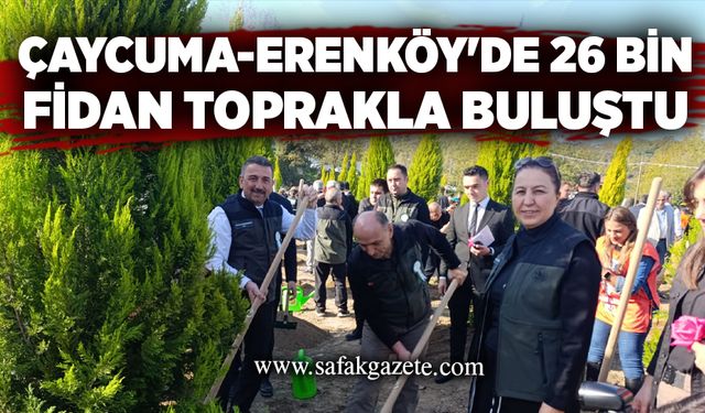 Çaycuma-Erenköy'de 26 bin fidan toprakla buluştu