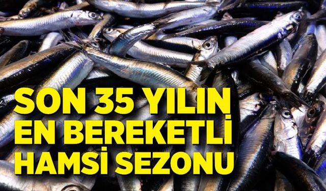 Karadeniz son 35 yılın en bereketli hamsi sezonunu yaşıyor