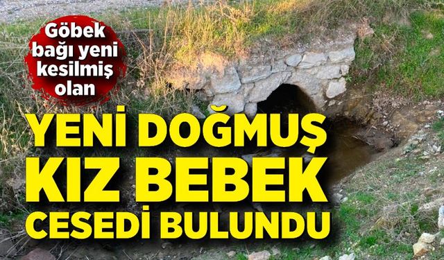 Boş arazide bebek cesedi bulundu