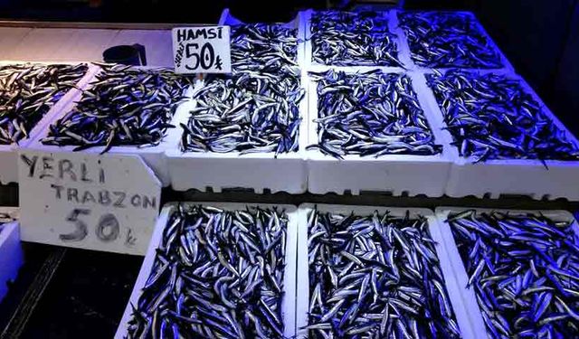 Trabzonlular hamsiye doydu