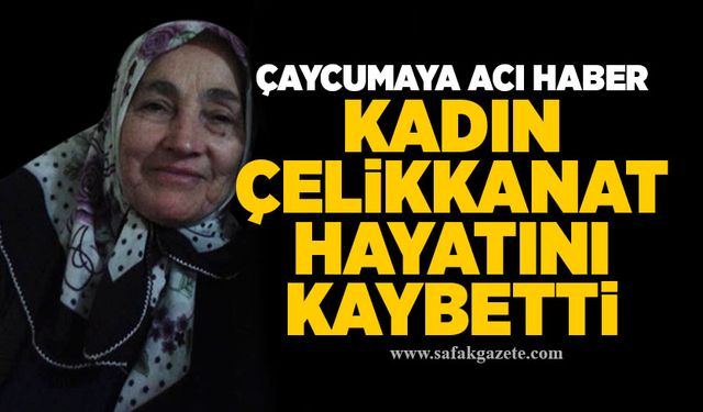 Çaycuma'ya acı haber: Kadın Çelikanat hayatını kaybetti