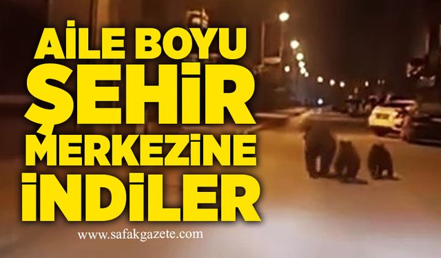 Aile boyu şehir merkezine indiler!