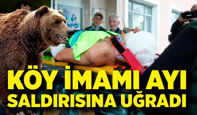 Kastamonu’da Ayı Dehşeti: İmam, Mantar Toplarken Ayının Saldırısına Uğradı