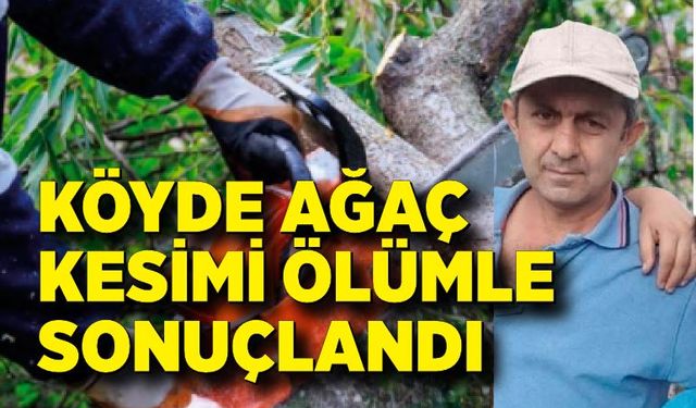 Kestiği ağacın altında kalan vatandaş hayatını kaybetti