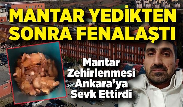 Topladığı mantarları yiyen bir kişi zehirlendi
