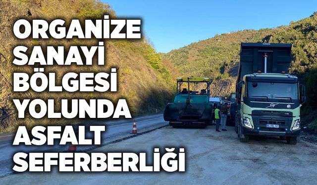 Organize sanayi bölgesi yolunda asfalt seferberliği